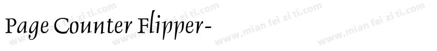 Page Counter Flipper字体转换